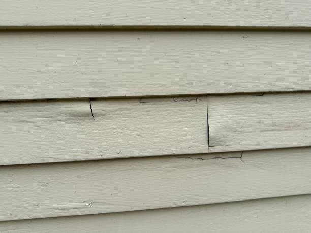 Best Construction Debris Removal  in Solvay, NY
